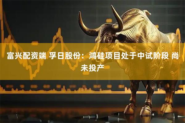 富兴配资端 孚日股份：鸿硅项目处于中试阶段 尚未投产